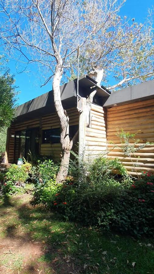 Chalet Los Troncos Саусе де Портезуело Екстериор снимка